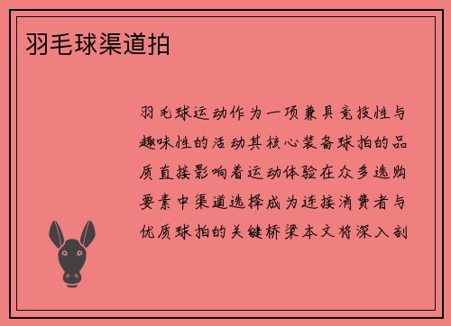 羽毛球渠道拍